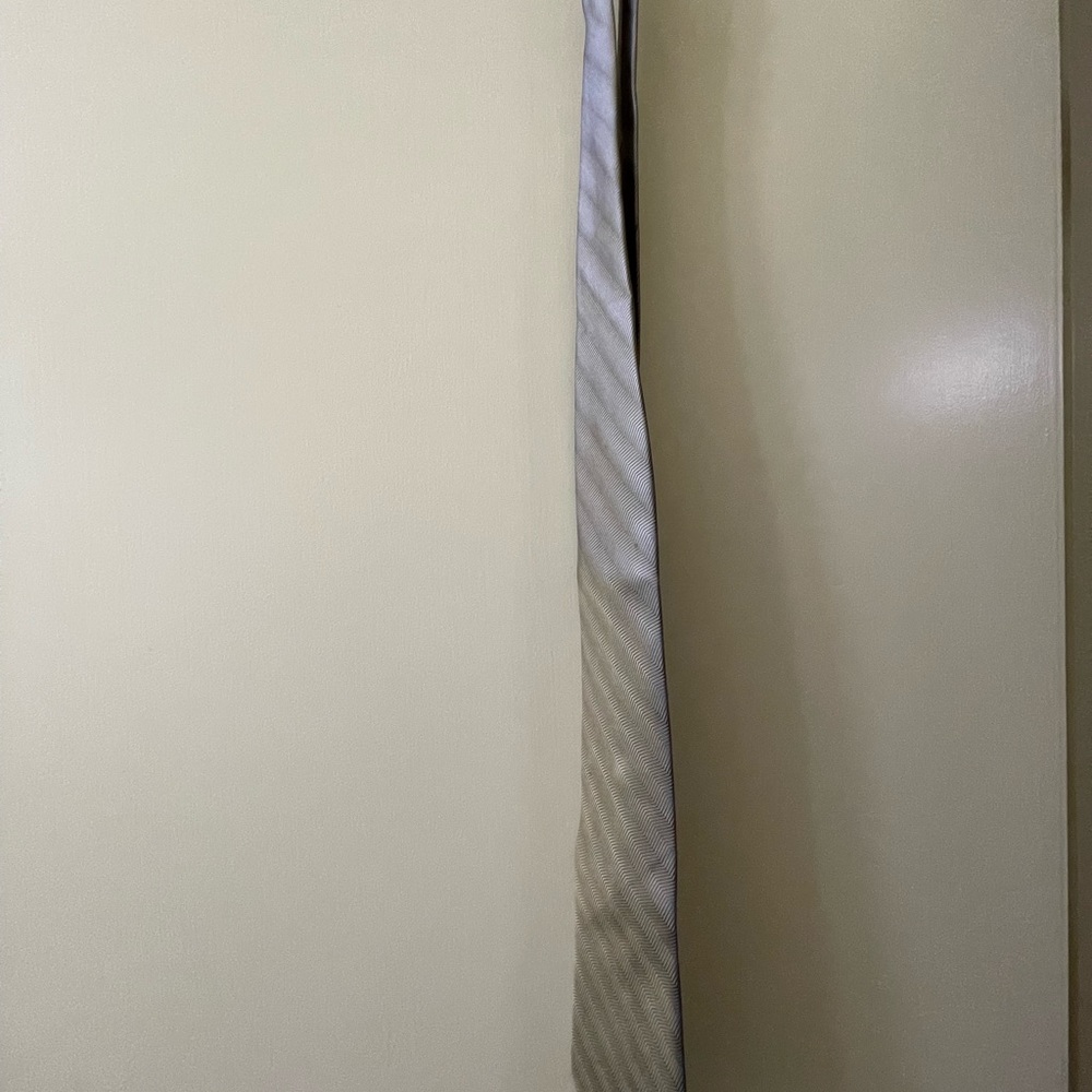 Claiborne Tan 100% Silk Tie
